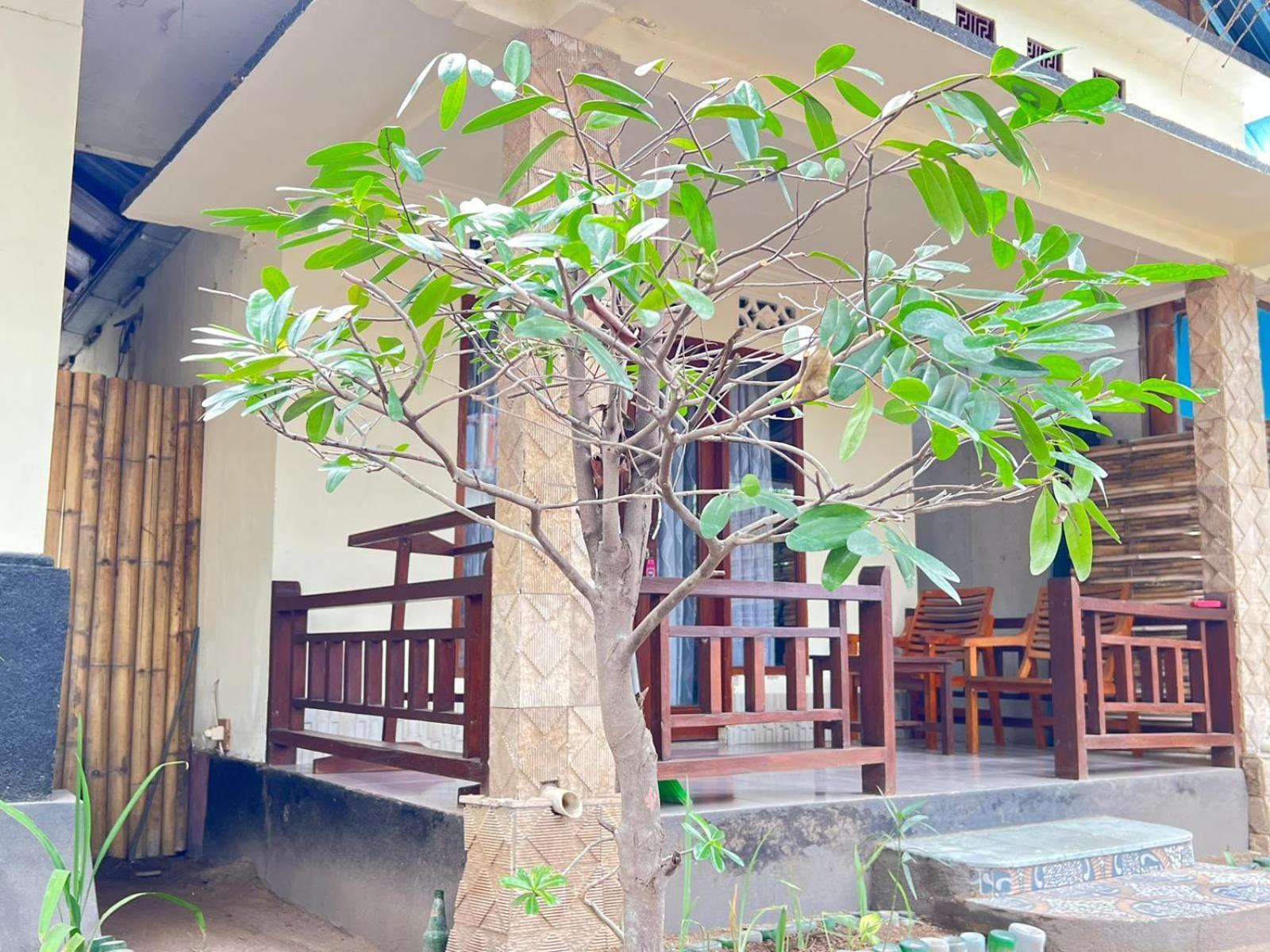 Bias Bungalows غيلي آير المظهر الخارجي الصورة