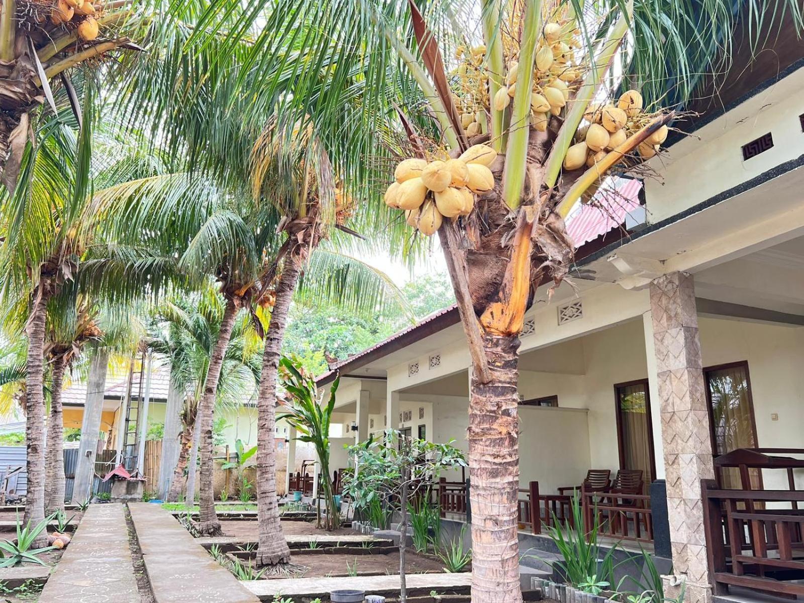 Bias Bungalows غيلي آير المظهر الخارجي الصورة