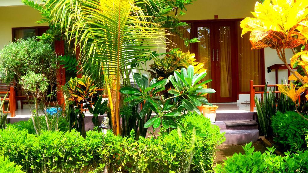 Bias Bungalows غيلي آير المظهر الخارجي الصورة